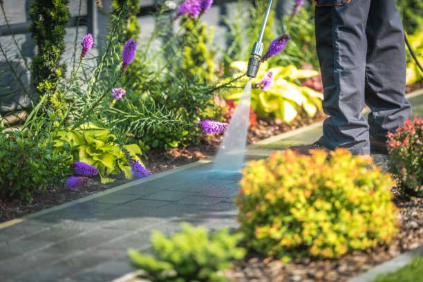 Best Parking Lot and Garage Cleaning  in Woodland Heights, PA